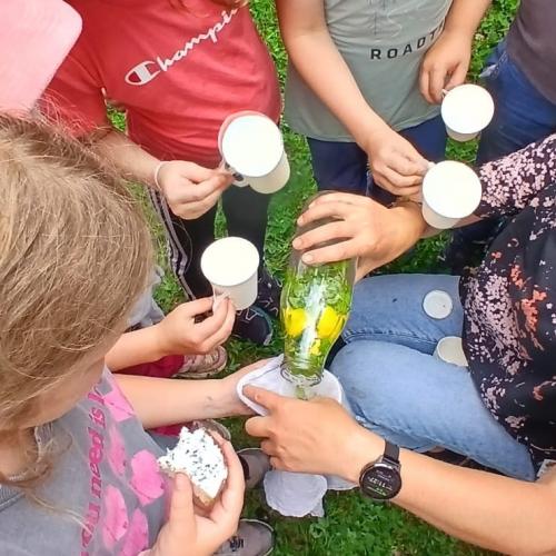 Kräuterwanderung 2a