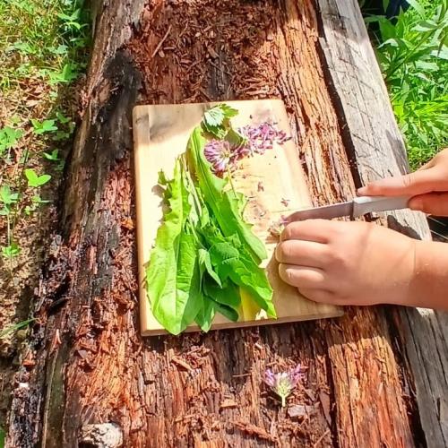 Kräuterwanderung 2a