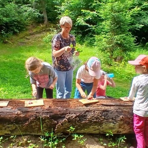 Kräuterwanderung 2a