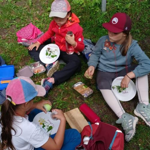 Kräuterwanderung 2a