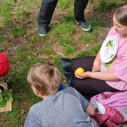 Kräuterwanderung 2a