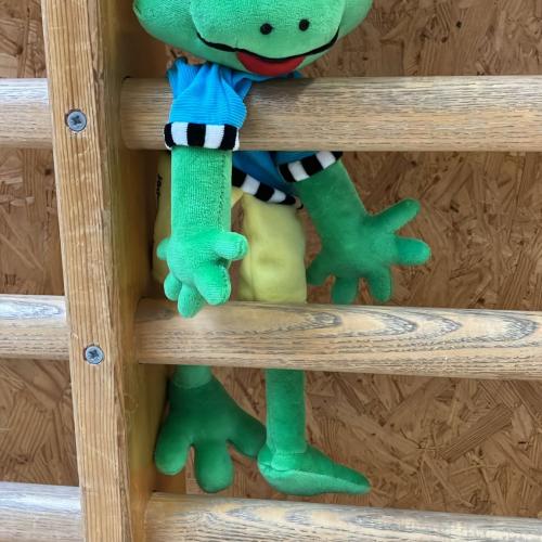 Hopsi Hopper war in der 1a Klasse