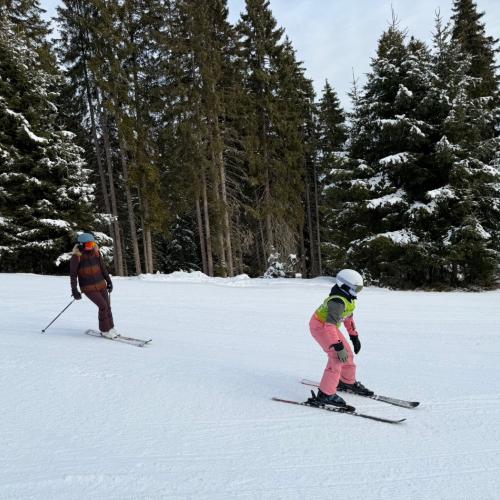 Schitage der 4. Klassen