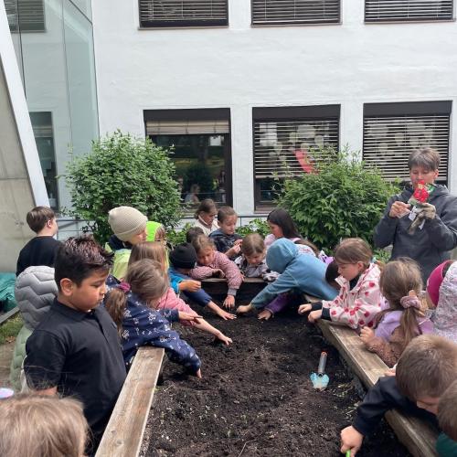 Hochbeet 2026
