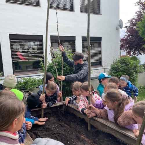 Hochbeet 2026