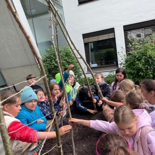 Hochbeet 2026