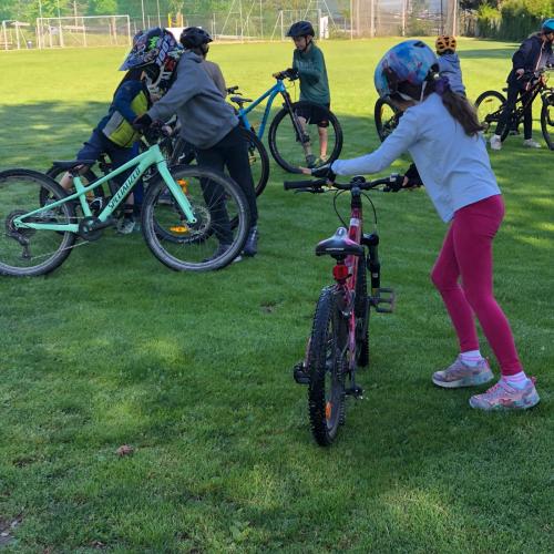 Pumptrack 3b