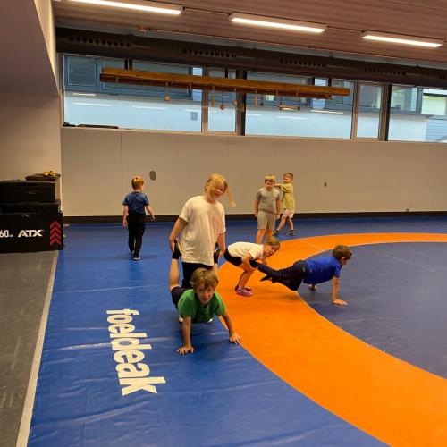 Ringen 1a