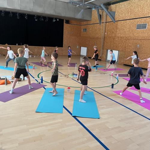Yoga 2a