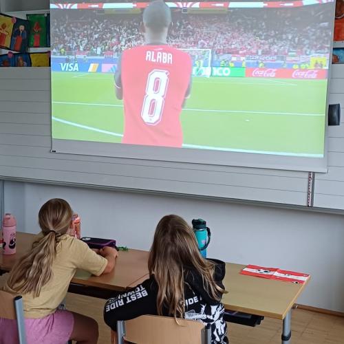 Fußballfieber 3a
