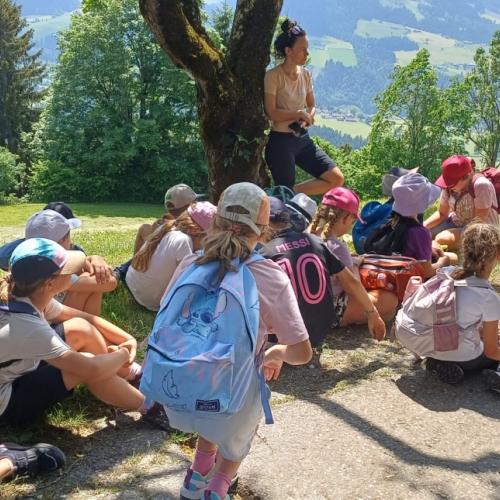 Westendorf 3a