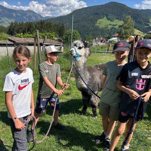 Westendorf 3a