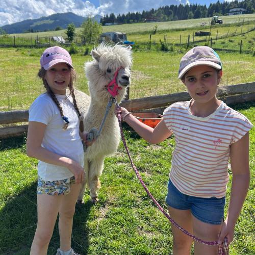 Westendorf 3a