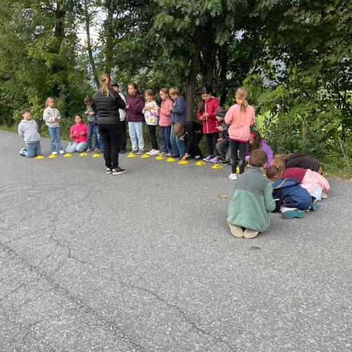 Hallo Auto 3b