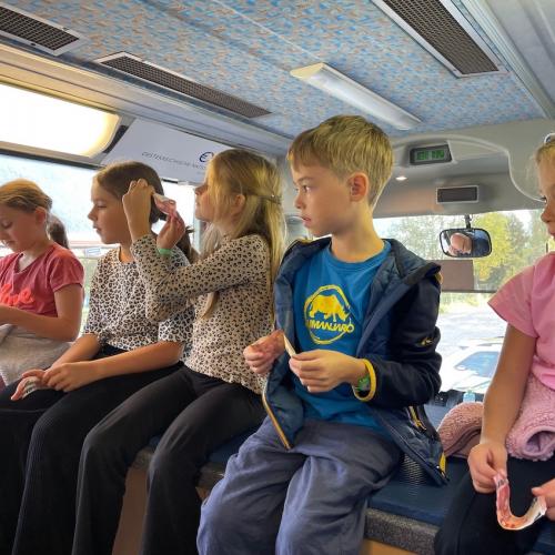 EURO Bus 3b