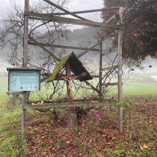 Wandertag der 3. Klassen