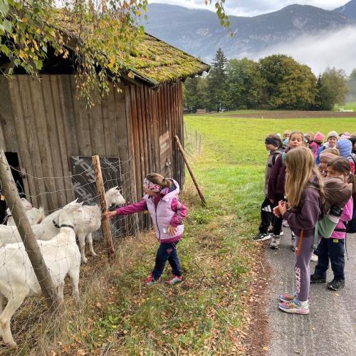 Wandertag der 3. Klassen