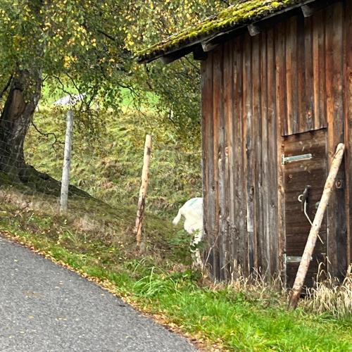 Wandertag der 3. Klassen