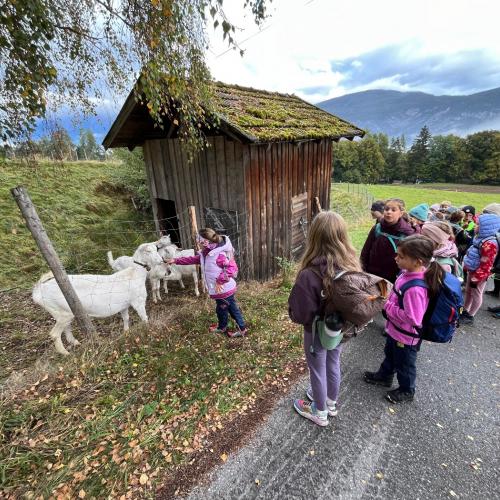 Wandertag der 3. Klassen