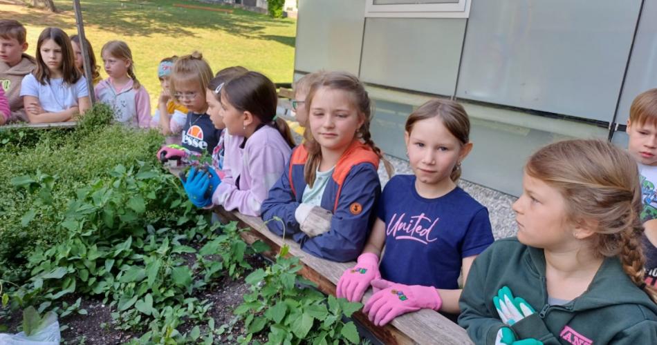Blumenbeet 2.Klassen